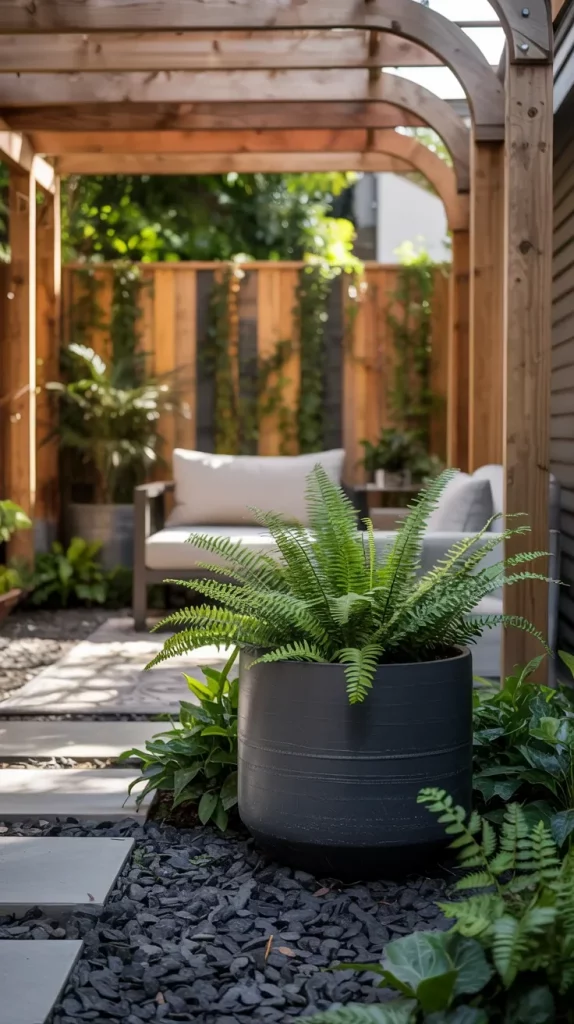 51 Organic Modern Landscaping 2026 Ideas For Stylish Outdoor Living