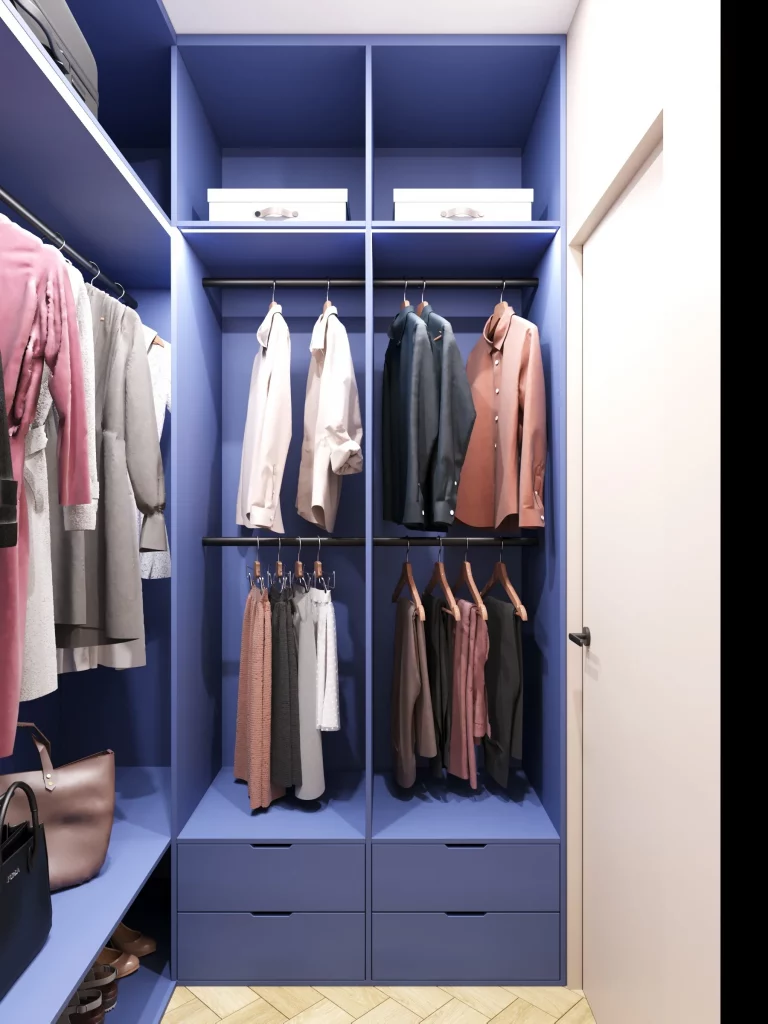 43 Small-Space Walk-In Closet Organization Ideas to Try This Season