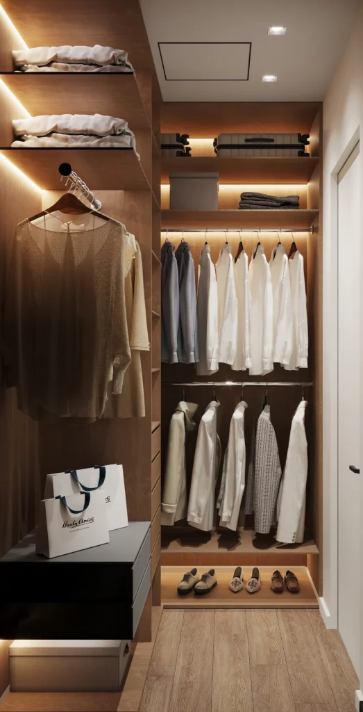 43 Small-Space Walk-In Closet Organization Ideas to Try This Season