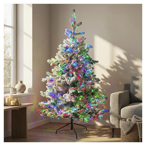 Snow-Dusted Christmas Tree with Colorful Lights in a Cozy Corner Snow-Dusted Christmas Tree with Colorful Lights in a Cozy Corner — Christmas Tree with Colored Lights
