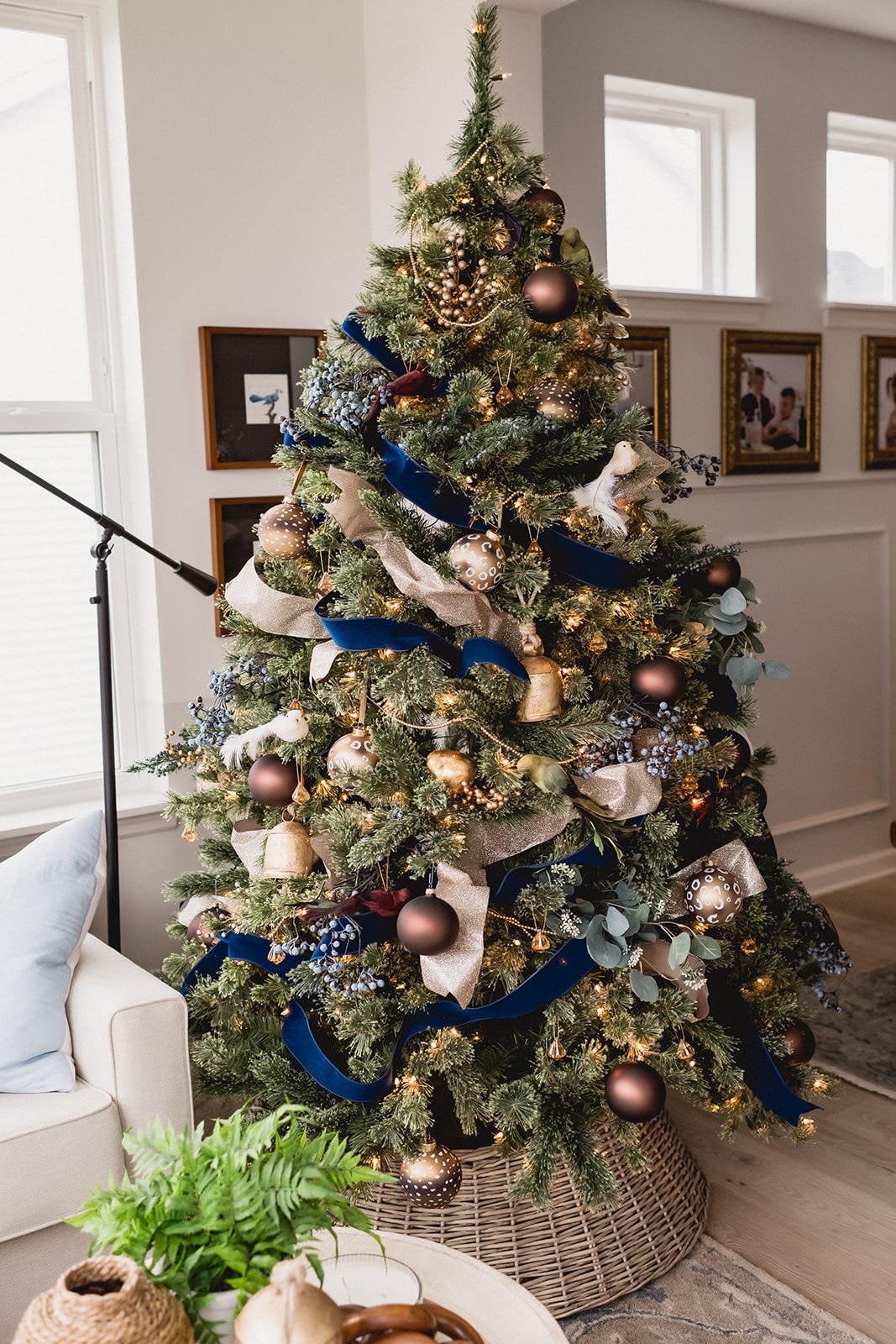 Elegant Layered Gold, Cream, and Blue Velvet Ribbons Elegant Layered Gold, Cream, and Blue Velvet Ribbons — Christmas Tree Ribbon