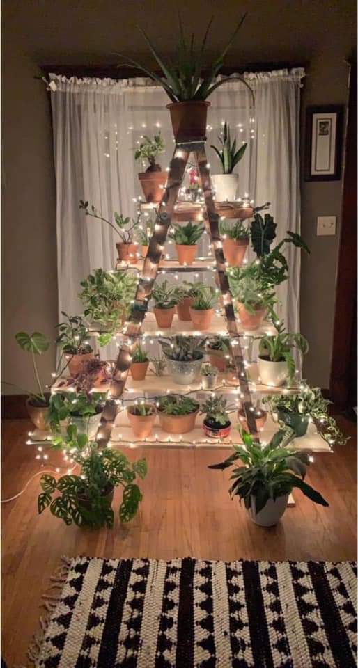 Boho Plant Christmas Tree on a Ladder Shelf — Alternative Christmas Trees