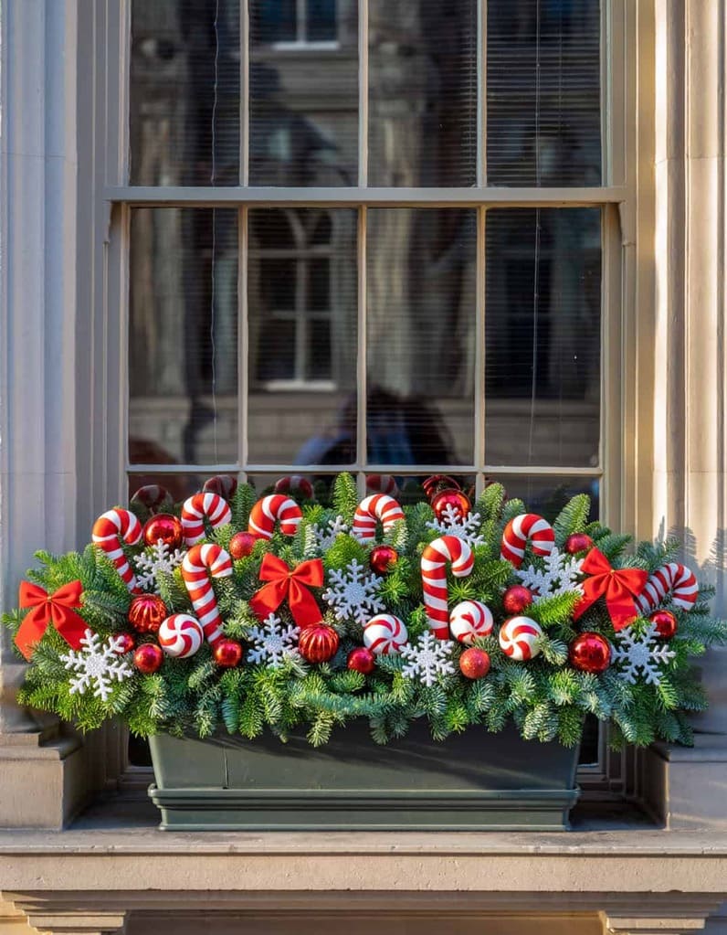 Traditional Window Box Overflowing with Greenery and Candy Canes Traditional Window Box Overflowing with Greenery and Candy Canes — Christmas Window Decor Outdoor