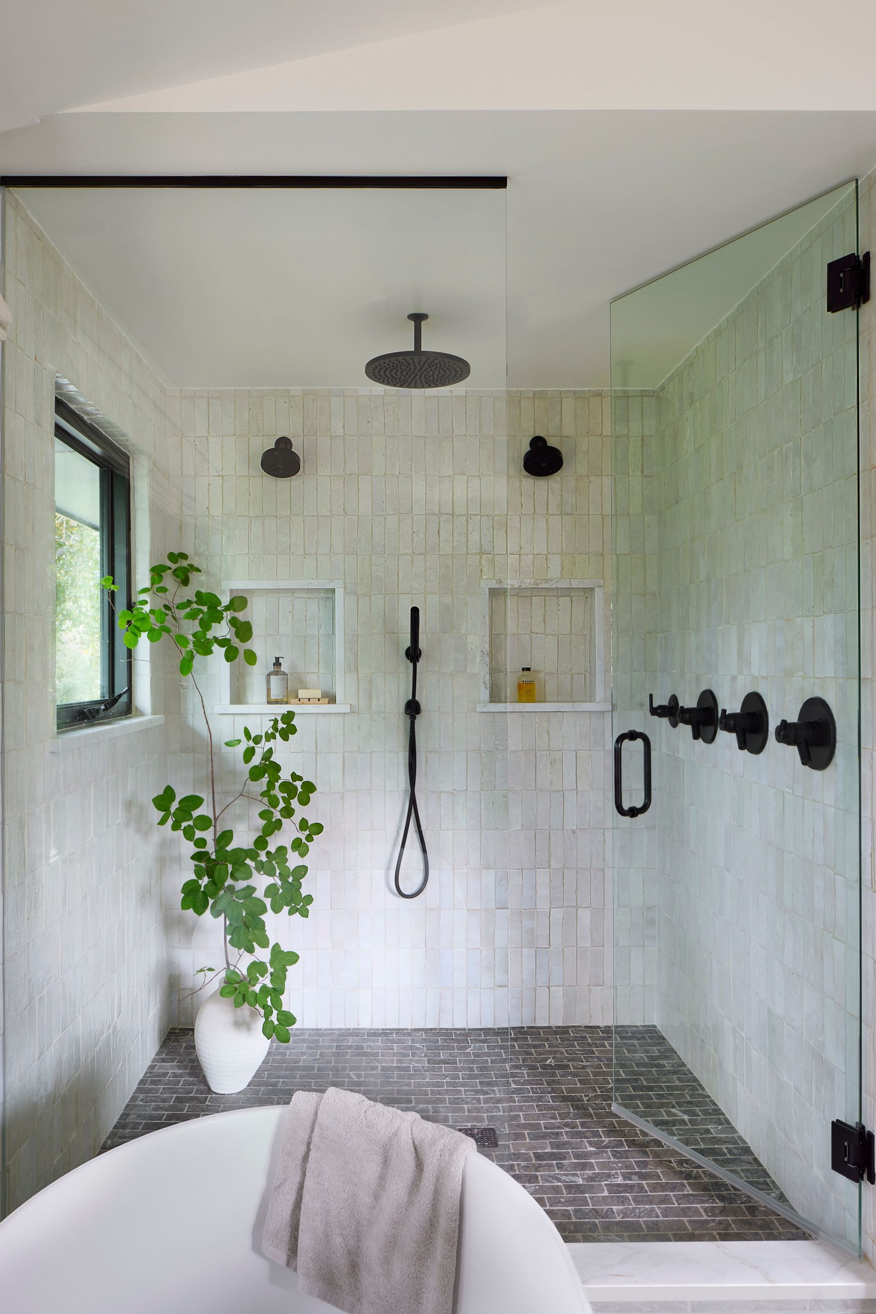 Modern Walk-in Shower with Black Fixtures and Green Plant — Shower Room Ideas