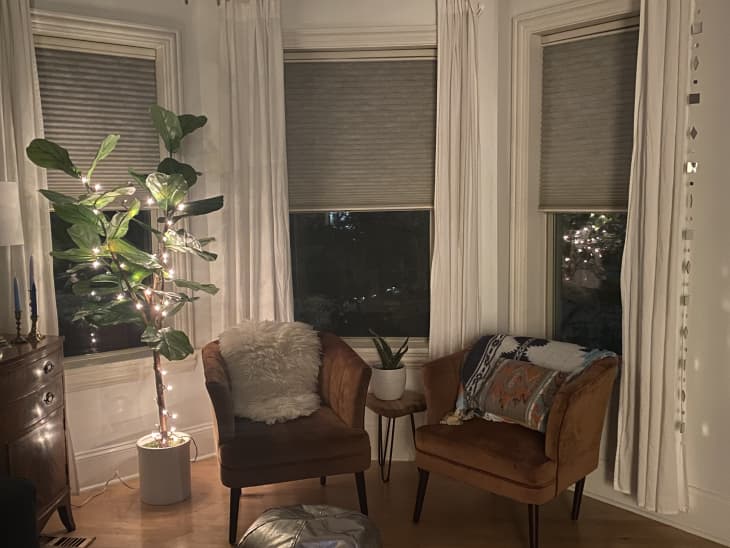 Fairy Lights Wrapped Around a Houseplant Fairy Lights Wrapped Around a Houseplant — Christmas Fairy Lights Living Room