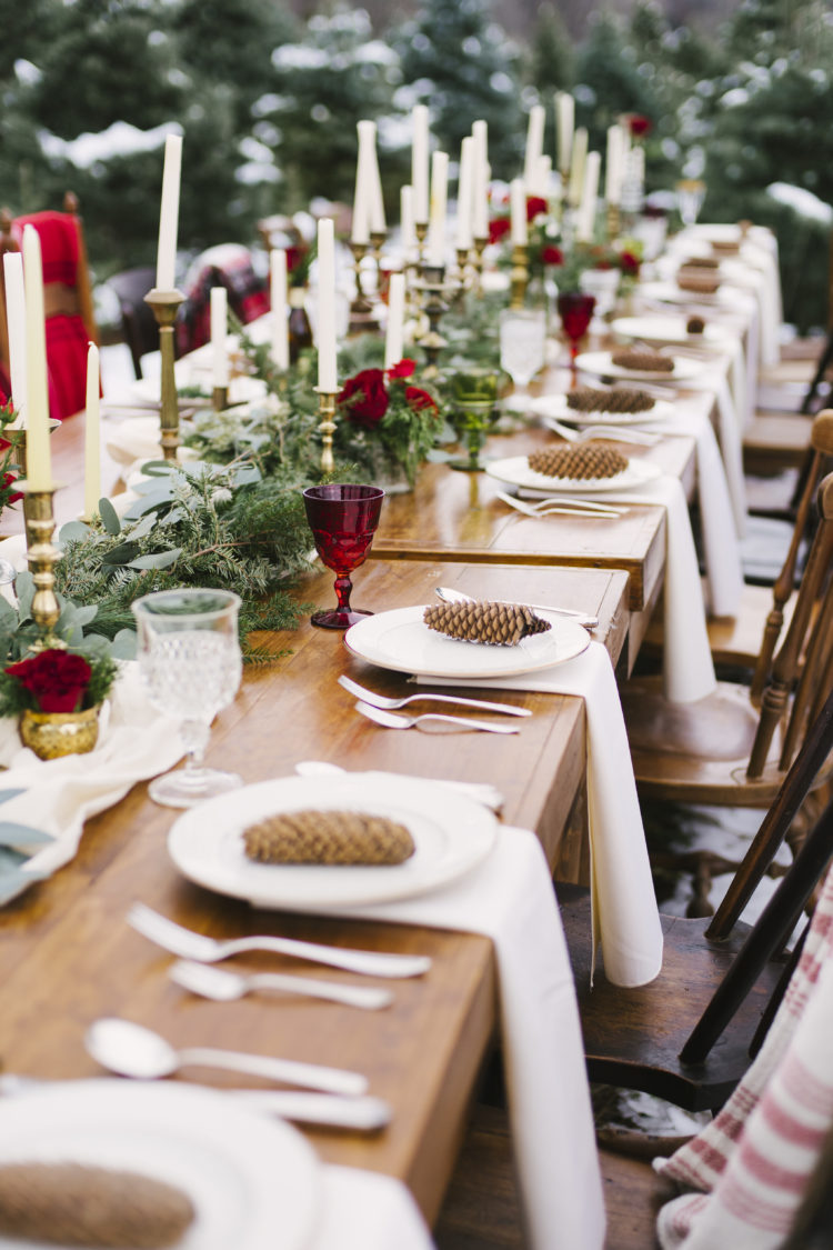Rustic Outdoor Table with Pinecone Place Settings — Christmas Wedding Decor