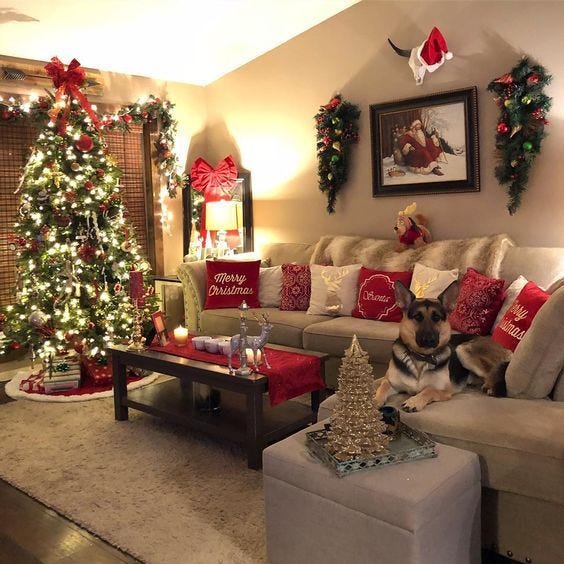 Traditional Living Room with Festive Pillows and a Cozy Dog Traditional Living Room with Festive Pillows and a Cozy Dog — Christmas Apartment Decor