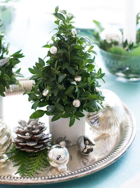 Minimalist Live Christmas Tree on a Silver Tray — Christmas Centerpiece