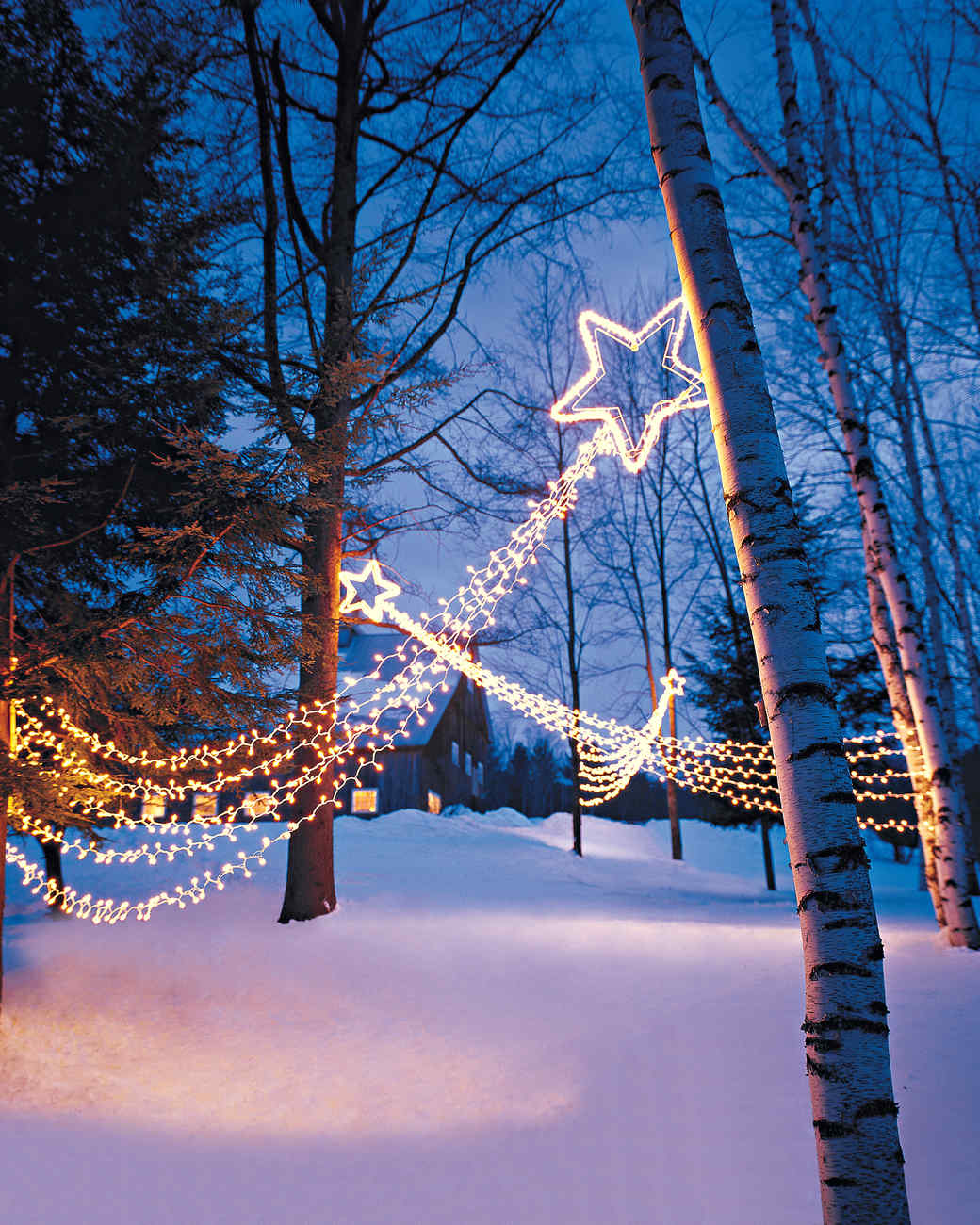 Whimsical Yard with Star-Shaped Lights and Draped Trees — Outdoor Christmas Lights