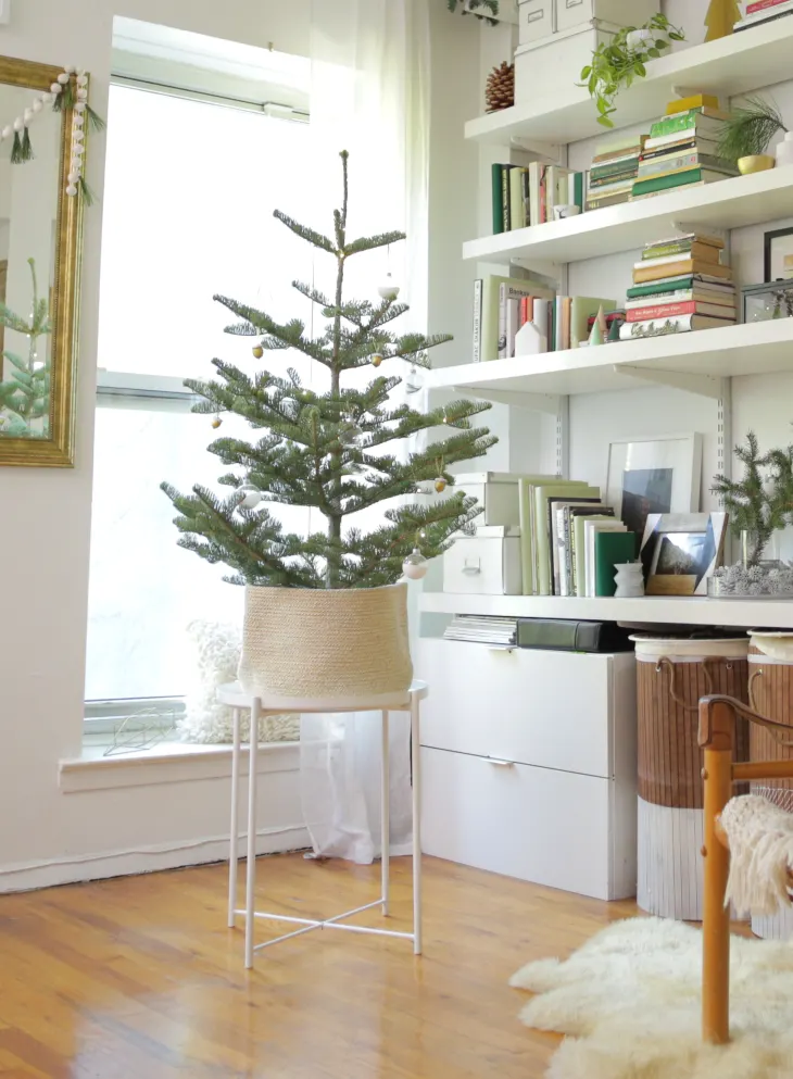 Minimalist Jute-Potted Christmas Tree by the Window Minimalist Jute-Potted Christmas Tree by the Window — Christmas Apartment Decor