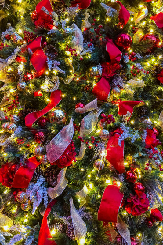 Vibrant Red Ribbon Loops with Pinecones Vibrant Red Ribbon Loops with Pinecones — Christmas Tree Ribbon