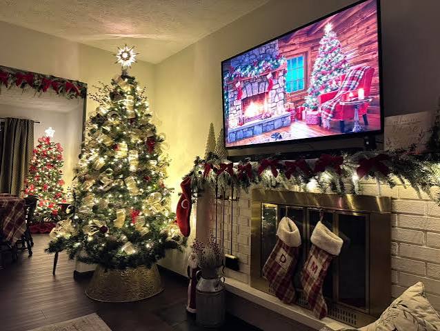 Wide Room Shot Visual Idea — Christmas Lights in Garland Indoor