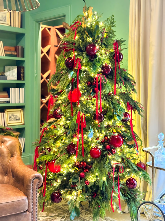 Traditional Christmas Tree with Green Bookshelves Backdrop Traditional Christmas Tree with Green Bookshelves Backdrop — Christmas Tree Themes