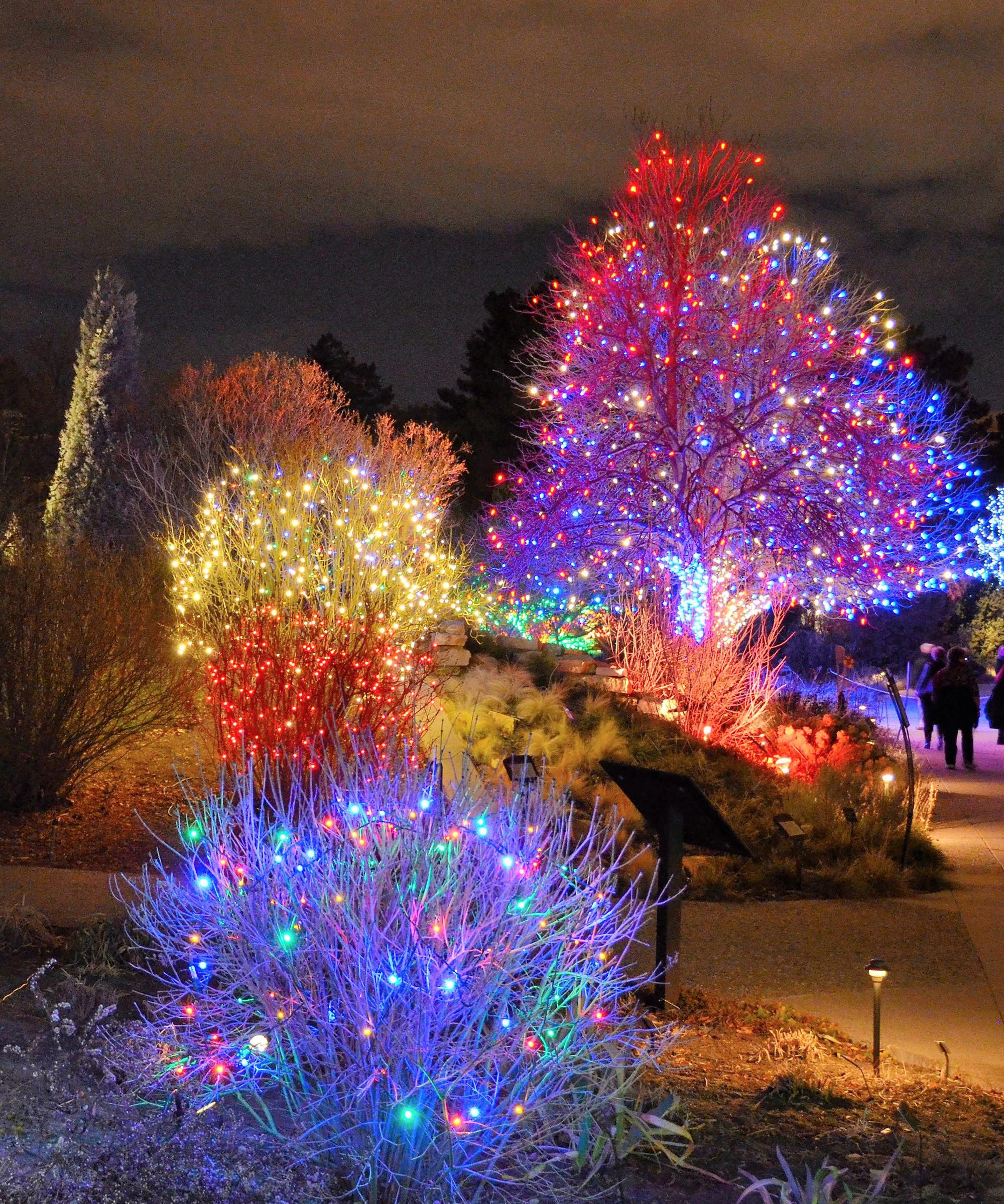 Outdoor Garden Pathway Illuminated with Red, Blue, and Yellow String Lights Outdoor Garden Pathway Illuminated with Red, Blue, and Yellow String Lights — Christmas Tree with Colored Lights