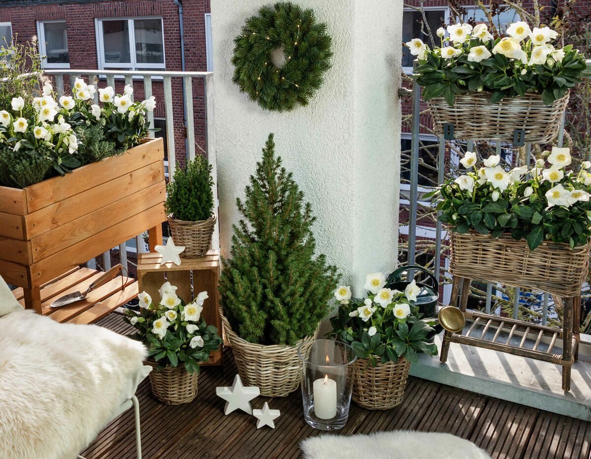 Boho Balcony with White Hellebores and Natural Accents — Christmas Balcony Decor