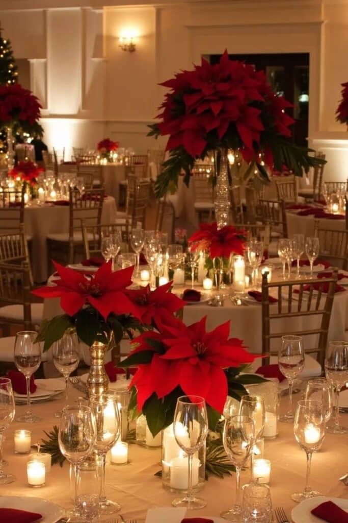 Formal Dining with Poinsettia Centerpieces and Gold Chairs — Christmas Wedding Decor