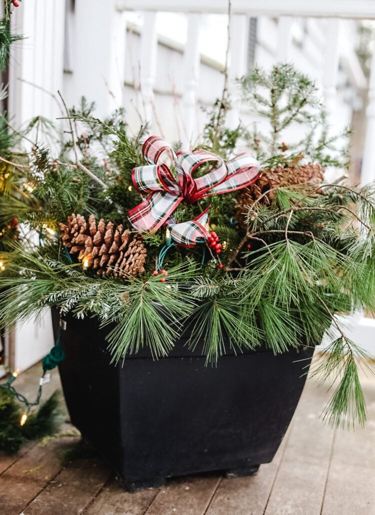 Black Planter with Pine Branches and Plaid Bow — Christmas Porch Planters