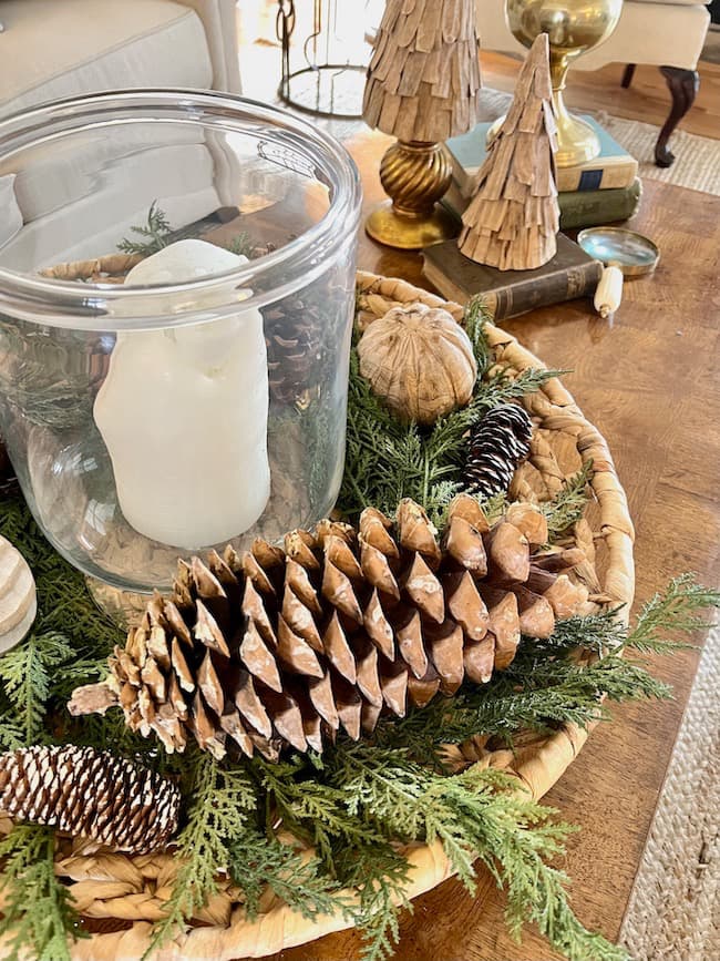Living Room Visual Idea — Winter Home Decor