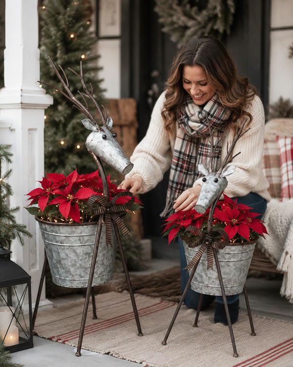 Whimsical Galvanized Reindeer Planters with Red Poinsettias — Christmas Porch Planters